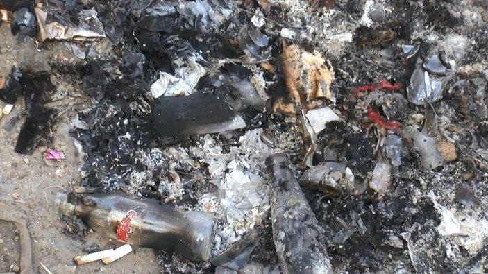 Zeytinburnu’nda, bir köpek yakılarak öldürüldü 