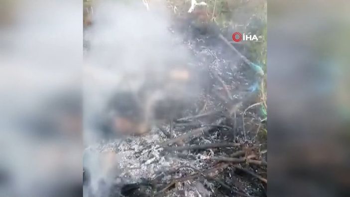 Meksika'da araç hırsızını yakarak öldürdüler