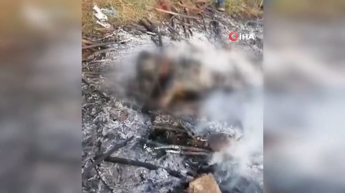 Meksika'da araç hırsızını yakarak öldürdüler