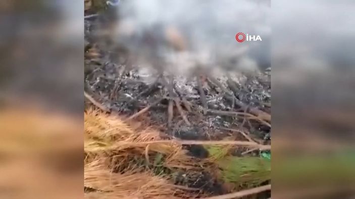 Meksika'da araç hırsızını yakarak öldürdüler