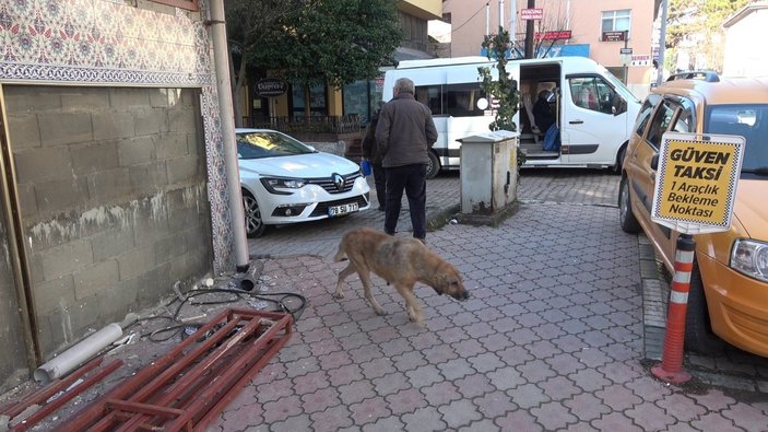 Karabük'te sokak köpeği saldırısına uğradı 