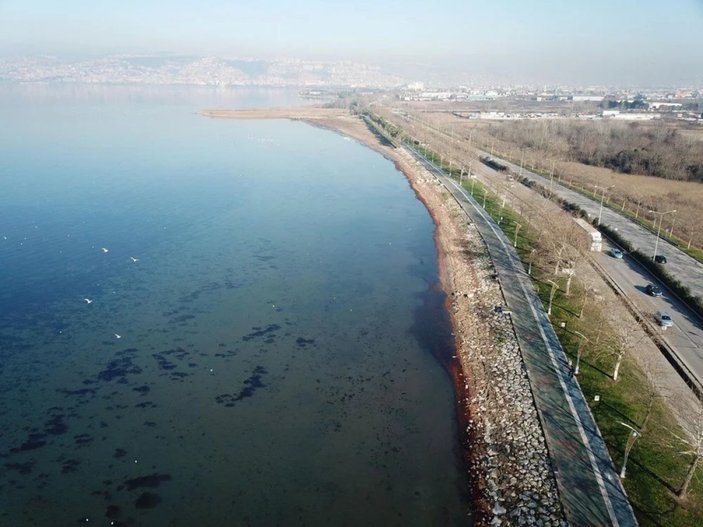 İzmit Körfez sahilini kırmızı yosun bastı