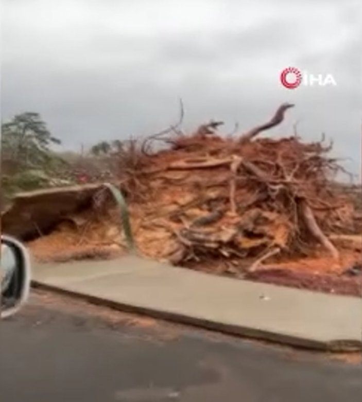 ABD’de hortum ağaçları söktü, binalara zarar verdi 