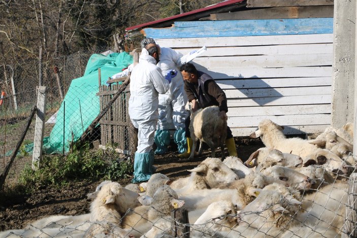 Zonguldak’ta 50 köy karantinaya alındı