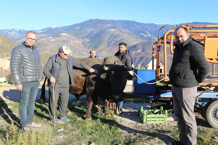 Artvin’de araç fiyatına boğa