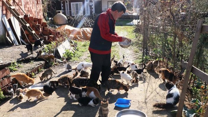 Samsun'da çocuğu gibi gördüğü 50'den fazla kedi için köyünde yaşıyor