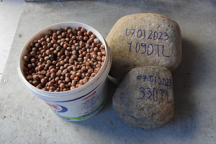 a Trabzon'da satılan fındık çuvallarından taş çıktı