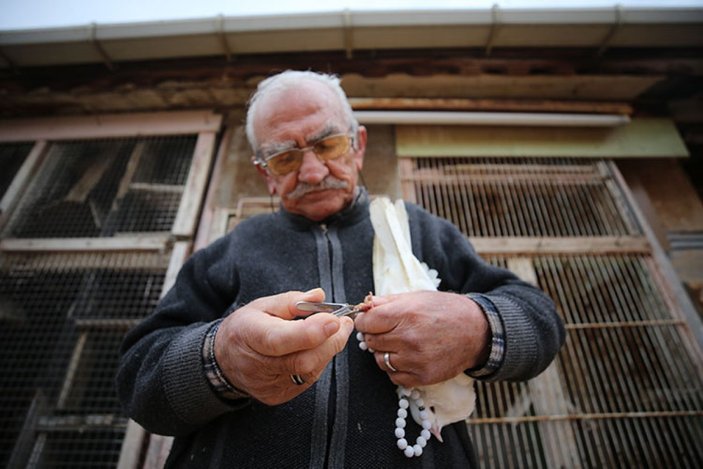 Necati Dede'nin 64 yıllık güvercin aşkı