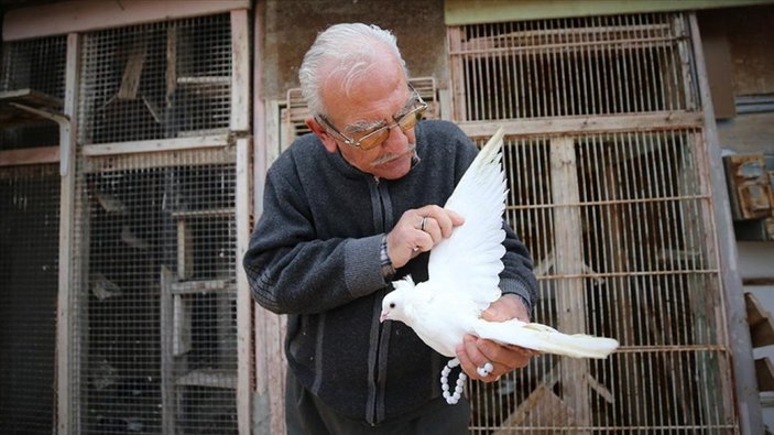 Necati Dede'nin 64 yıllık güvercin aşkı