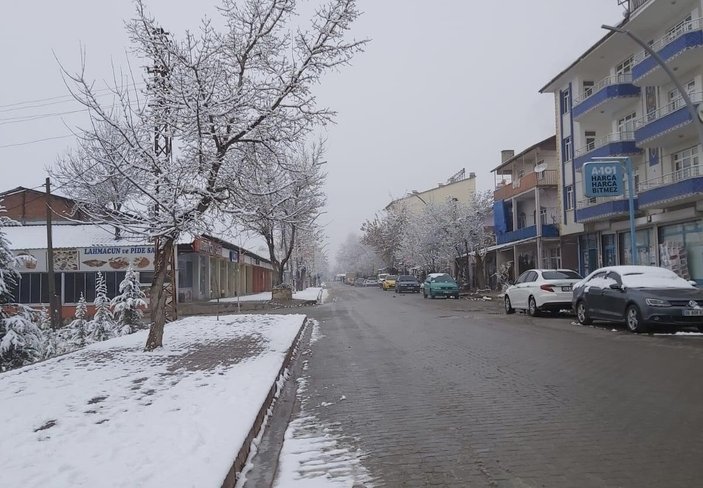 Hozat’ta ölen inek kuduz çıktı, hayvan giriş-çıkışı yasaklandı