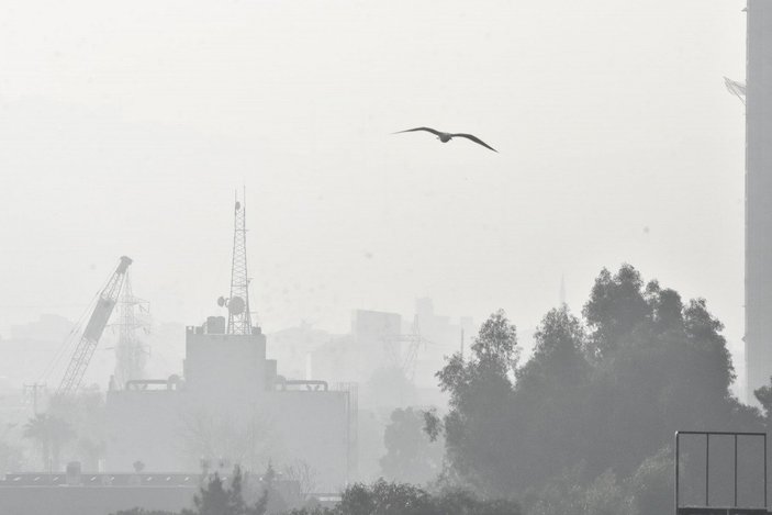 İzmir'in hava kalitesi 'riskli’ seviyede 