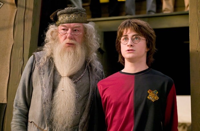 Albus Dumbledore (Michael Gambon), Harry Potter (Daniel Radcliffe)