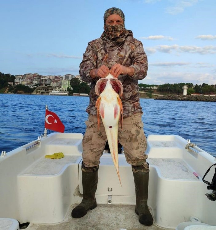 Sinop'ta olta ile tutulan kırlangıç balığı