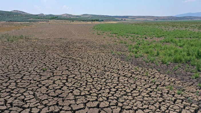 Ege Bölgesi'nde sıcaklıklar 10 yılda 2 derece artacak