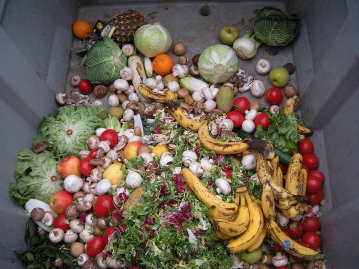 10 yılda yaklaşık 10 milyar ton gıda çöpe gitti