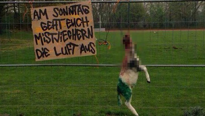 Hannover 96 taraftarından Tayfun Korkut'a tehdit