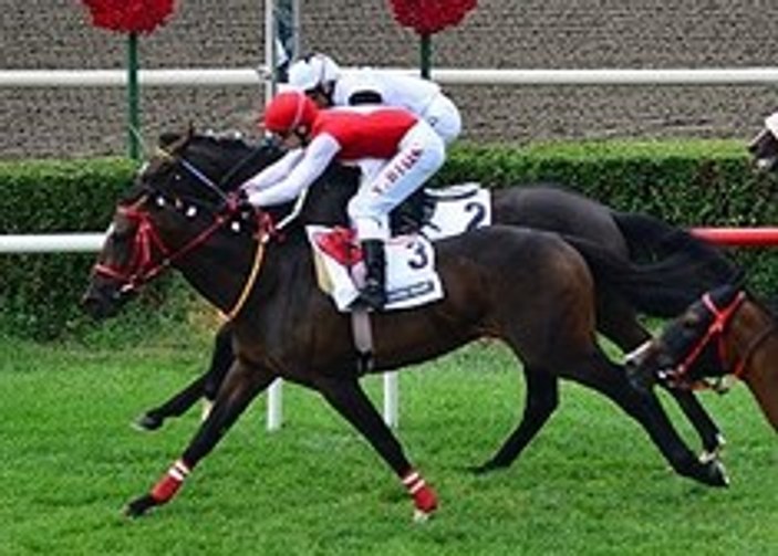 Gazi Koşusu'nu Blaze to Win kazandı