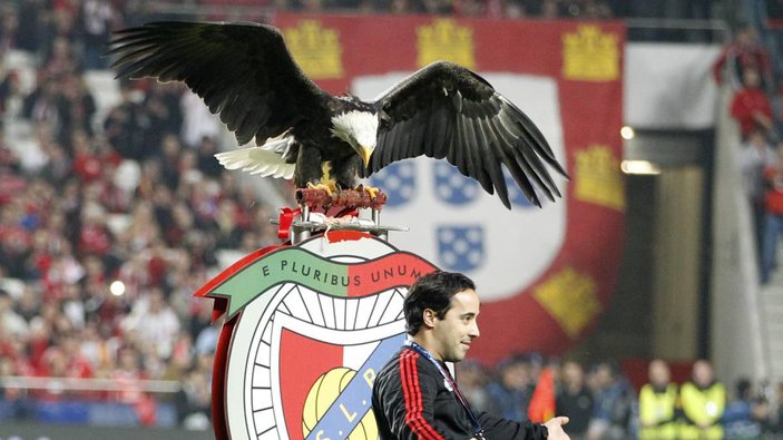Benfica'ya 30 dava: Hakemlere hayat kadını gönderdiler