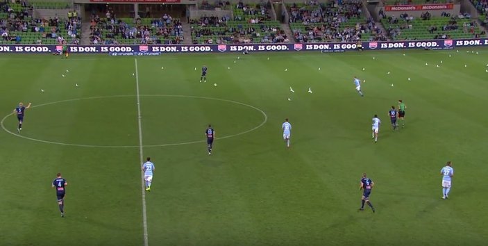 Melbourne City-Sydney FC maçını martılar bastı