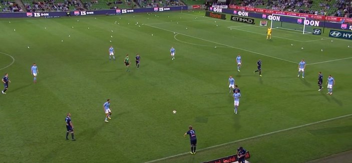 Melbourne City-Sydney FC maçını martılar bastı