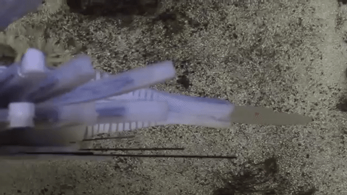 Yapay kan dolaşımı sayesinde yüzebilen robot balık