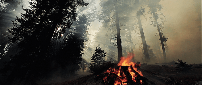 Araştırmacılar, orman yangınlarını önlemek için sıvı geliştirdi