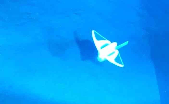 Denizleri gözlemleyebilmek için yumuşak robot balık geliştirildi
