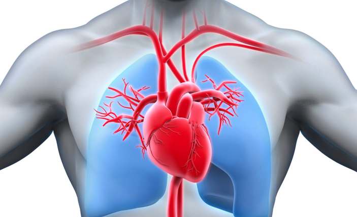 Kalp krizi sandığınız kırık kalp sendromu olabilir