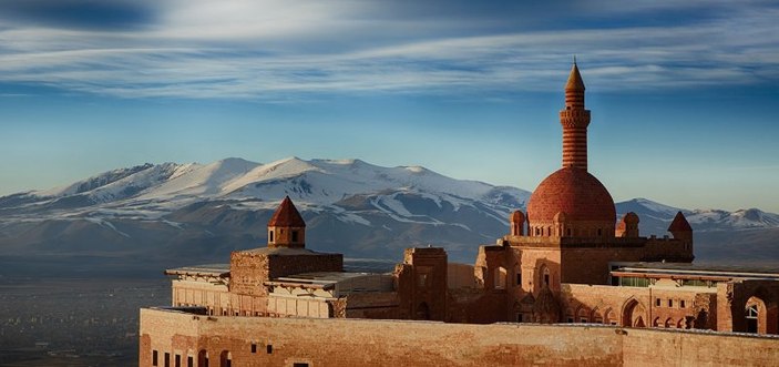 Şehirlerin fidan sahiplenme oranı