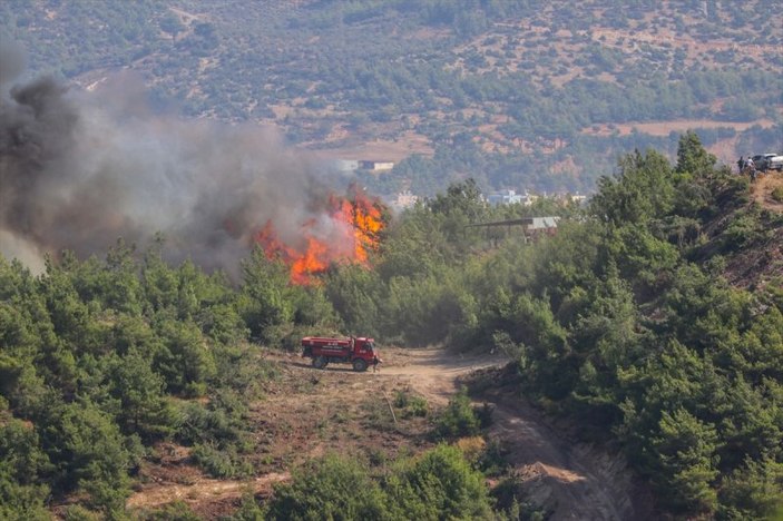 Hatay'daki yangının tahribatı ortaya çıkmaya başladı