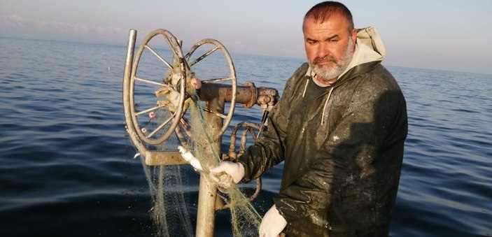 Van Gölü’nde inci kefali bereketi