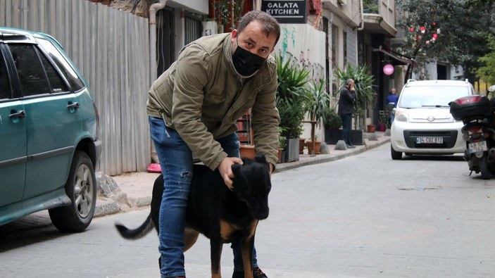 Beyoğlu'nda köpeğin çalınan telefonu kurtarma anı