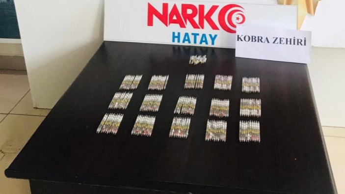 Hatay’da 156 tüp kobra zehri ele geçirildi