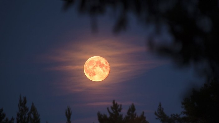 Pembe Ay ne zaman, saat kaçta görülecek? Pembe Ay hakkında..