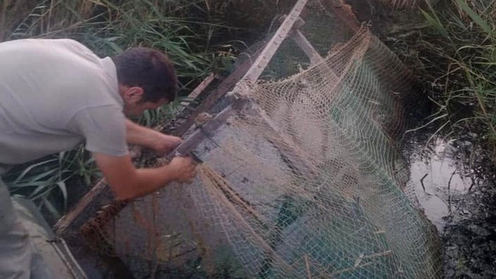 Edirne'deki kaçak ördek kafesleri imha edildi