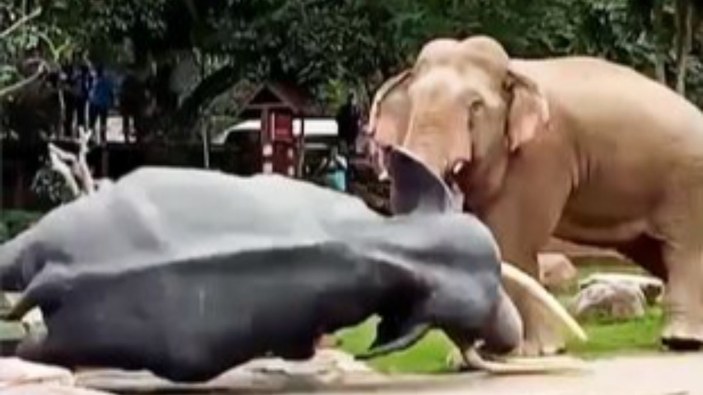Tayland'da öfkeli fil, heykeli yıktı