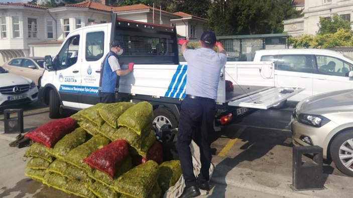 Sarıyer'de kaçak midye avına suçüstü