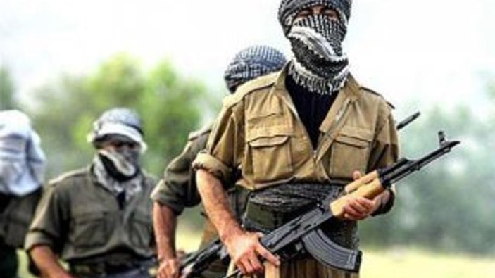Hakkari'de iki PKK'lı teslim oldu