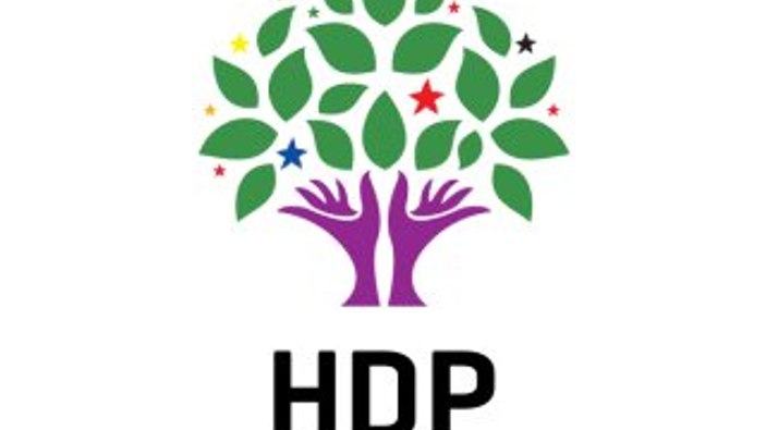 HDP Erciş İlçe Başkanı gözaltına alındı