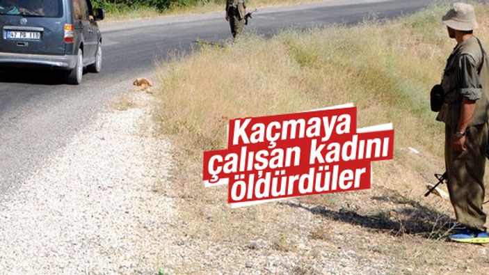 Erzincan'da PKK otomobile ateş açtı