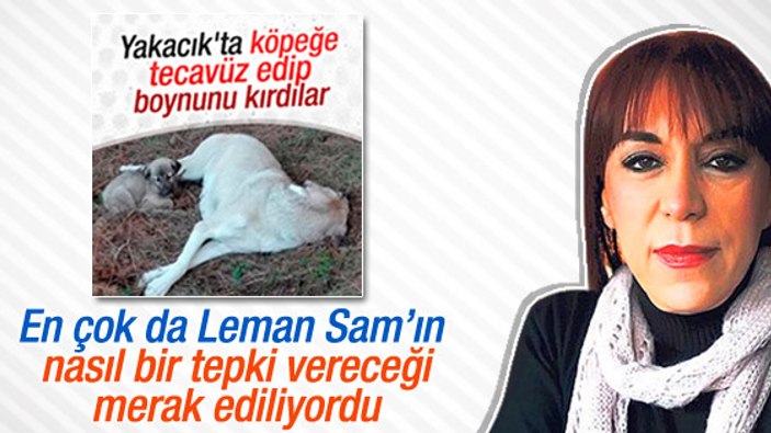 Köpeğe tecavüz edip boynunu kırdılar