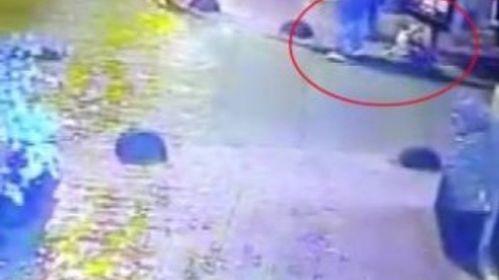 Cihangir'de kaçak elektrik akımına kapılan köpek öldü