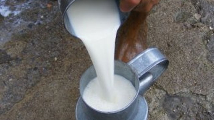 Tarım Bakanı: Çiğ sütün yasaklanması söz konusu değil