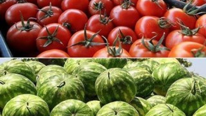 2016'da İstanbullular en çok karpuz ve domates tüketti