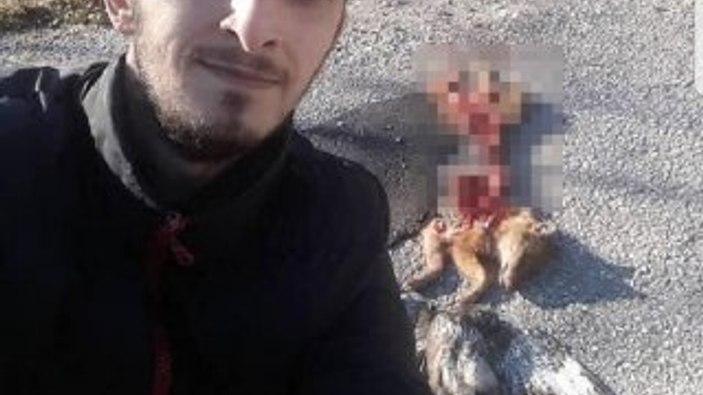 Öldürdüğü tilki ve doğanla poz veren adama para cezası