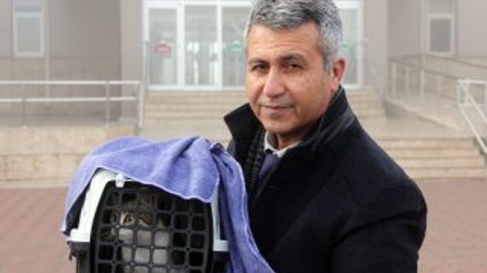 Duruşmaya kedisiyle gitti