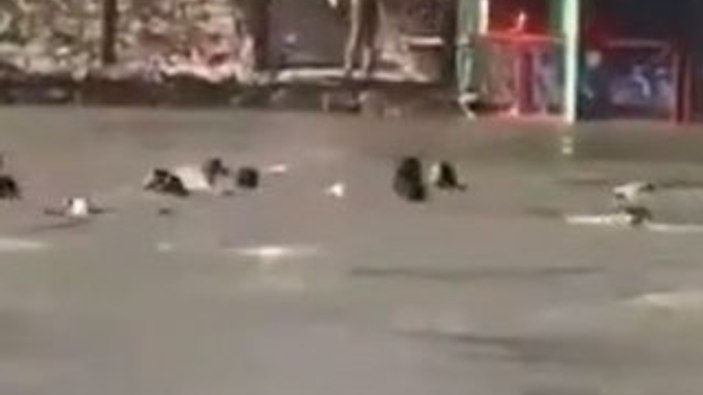 Musul Valisi görevinden alındı