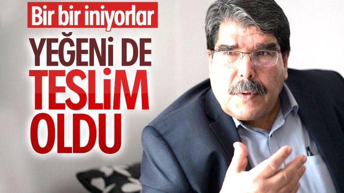 Dalya Mahmut Müslüm, teslim oldu