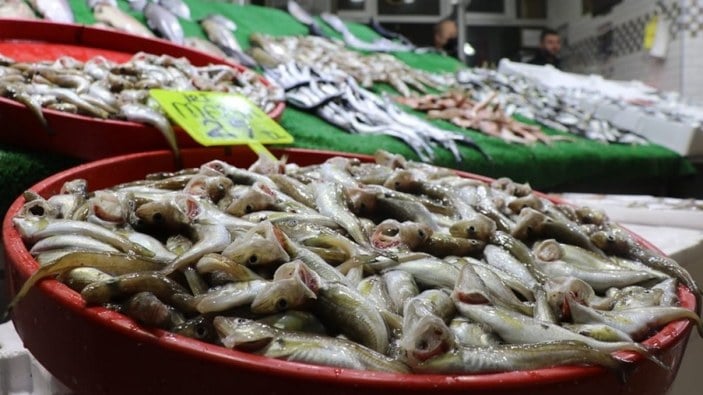 Zonguldak’ta balık çeşidi de fiyatlar da arttı