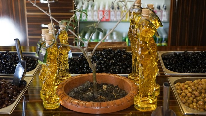 Edremit'te zeytinyağı fiyatları üreticinin yüzünü bu yıl güldürdü